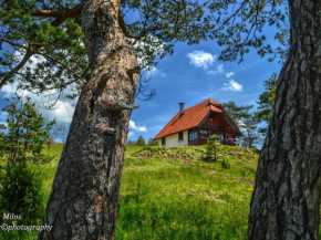Отель Cottage Vodice, Златибор